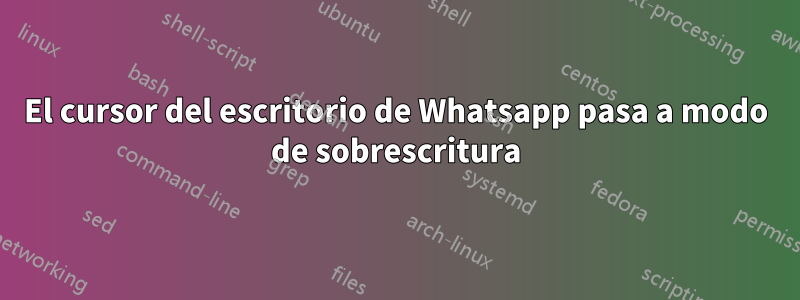 El cursor del escritorio de Whatsapp pasa a modo de sobrescritura