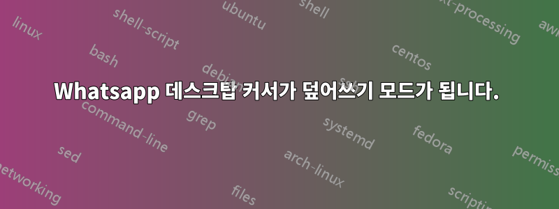 Whatsapp 데스크탑 커서가 덮어쓰기 모드가 됩니다.