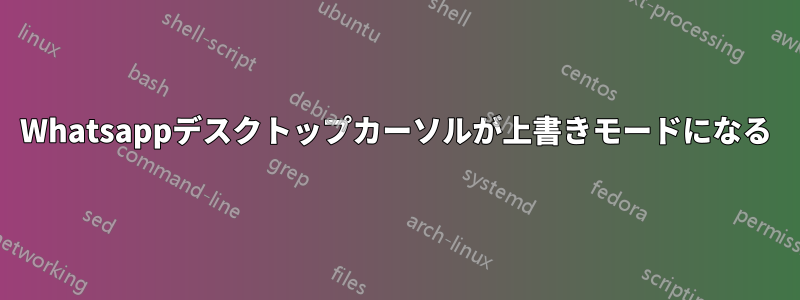 Whatsappデスクトップカーソルが上書きモードになる