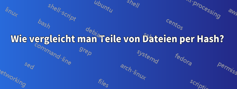 Wie vergleicht man Teile von Dateien per Hash?