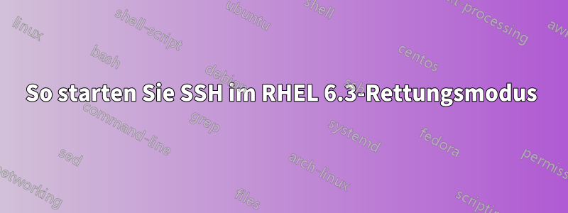 So starten Sie SSH im RHEL 6.3-Rettungsmodus