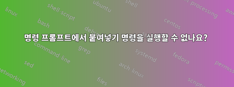 명령 프롬프트에서 붙여넣기 명령을 실행할 수 없나요?