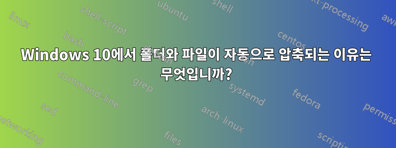 Windows 10에서 폴더와 파일이 자동으로 압축되는 이유는 무엇입니까?