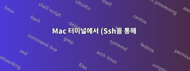 Mac 터미널에서 (Ssh를 통해) 실행하는 경우에만 Python 프로그램이 실패합니다.