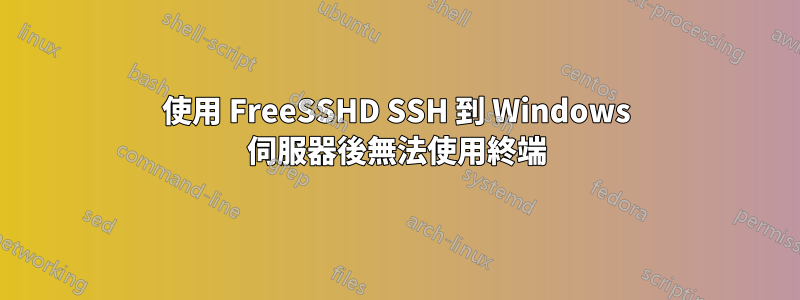 使用 FreeSSHD SSH 到 Windows 伺服器後無法使用終端