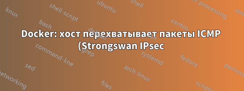 Docker: хост перехватывает пакеты ICMP (Strongswan IPsec)