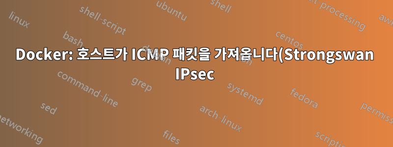 Docker: 호스트가 ICMP 패킷을 가져옵니다(Strongswan IPsec)