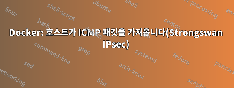 Docker: 호스트가 ICMP 패킷을 가져옵니다(Strongswan IPsec)