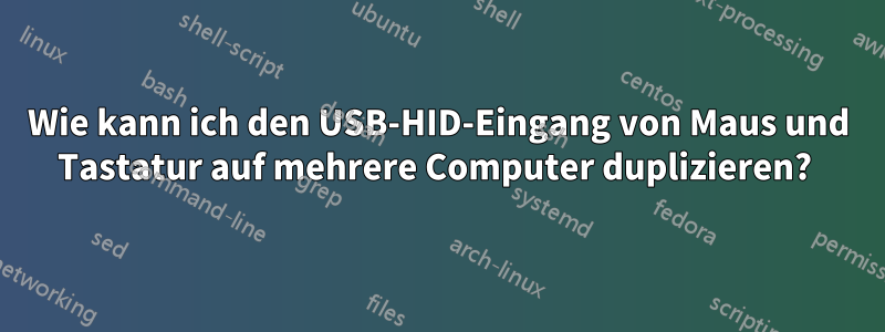 Wie kann ich den USB-HID-Eingang von Maus und Tastatur auf mehrere Computer duplizieren? 