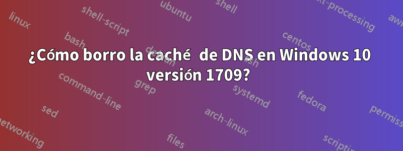 ¿Cómo borro la caché de DNS en Windows 10 versión 1709? 