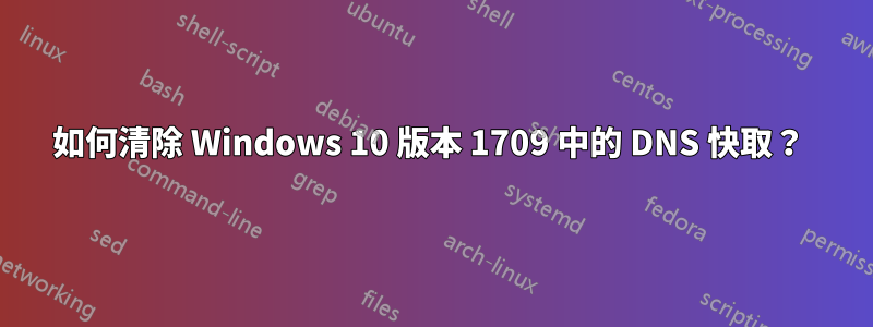 如何清除 Windows 10 版本 1709 中的 DNS 快取？ 