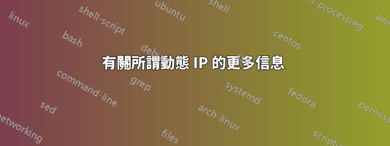 有關所謂動態 IP 的更多信息