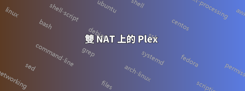 雙 NAT 上的 Plex