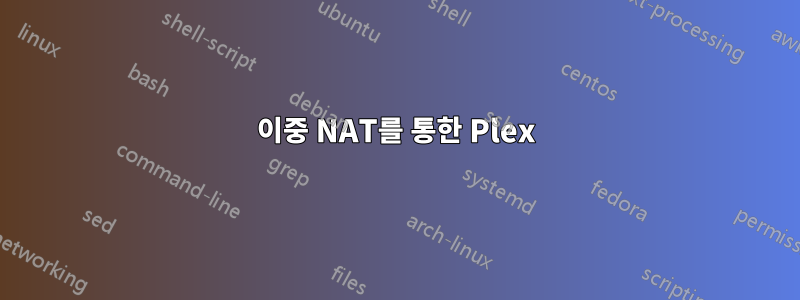 이중 NAT를 통한 Plex