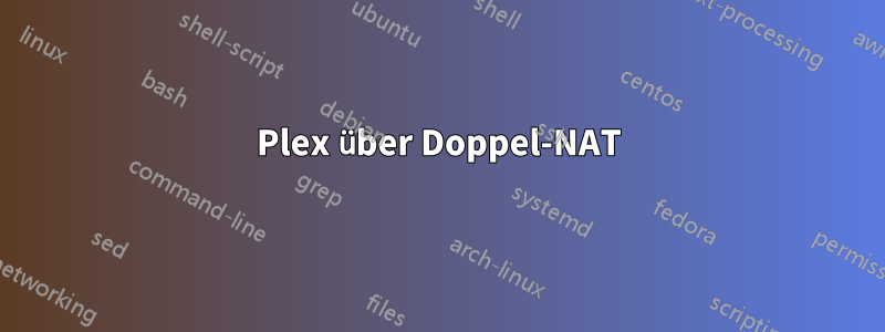 Plex über Doppel-NAT