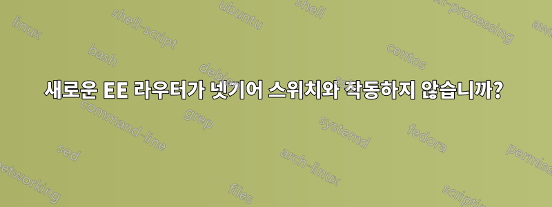 새로운 EE 라우터가 넷기어 스위치와 작동하지 않습니까?