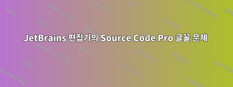 JetBrains 편집기의 Source Code Pro 글꼴 문제