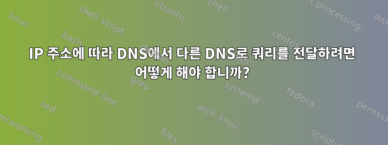 IP 주소에 따라 DNS에서 다른 DNS로 쿼리를 전달하려면 어떻게 해야 합니까?