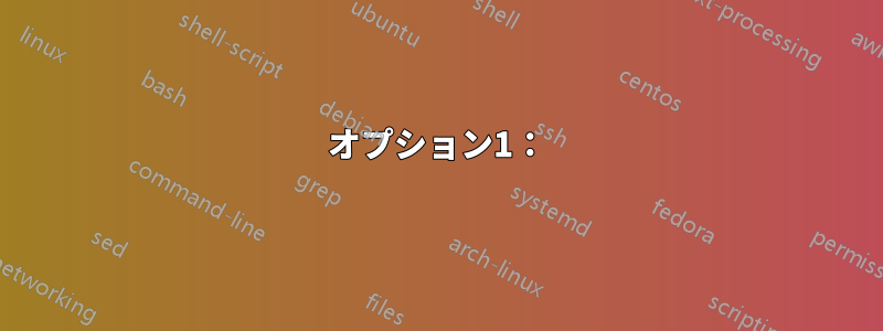 オプション1：