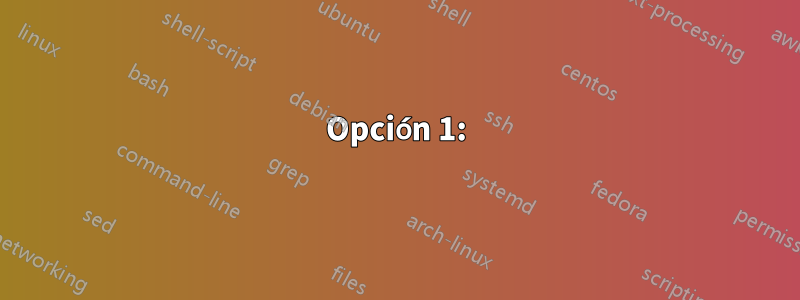 Opción 1: