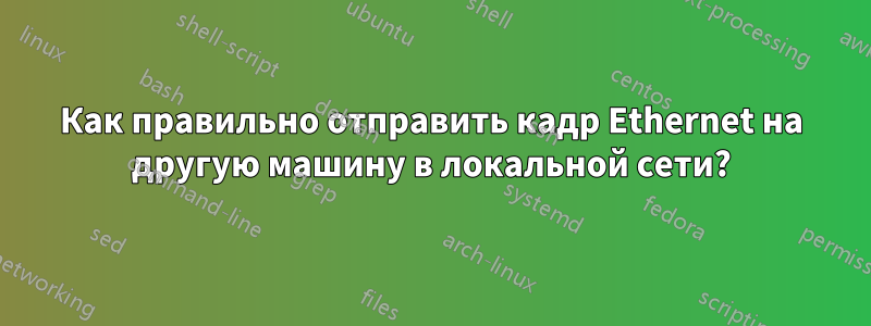 Как правильно отправить кадр Ethernet на другую машину в локальной сети?