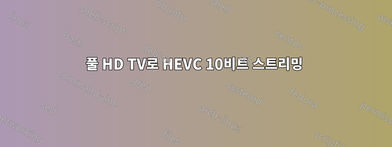 풀 HD TV로 HEVC 10비트 스트리밍