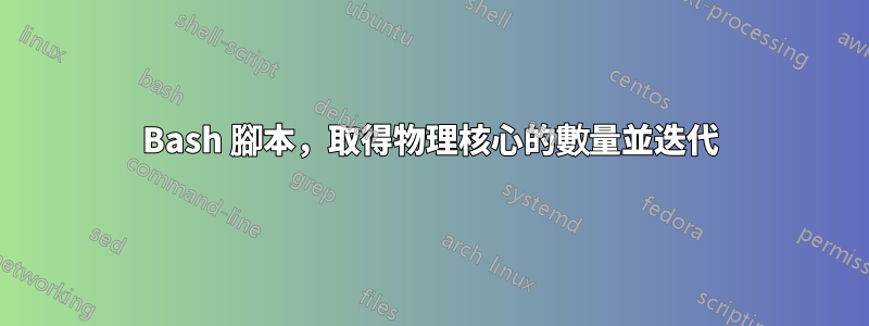 Bash 腳本，取得物理核心的數量並迭代