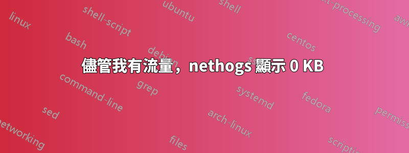 儘管我有流量，nethogs 顯示 0 KB