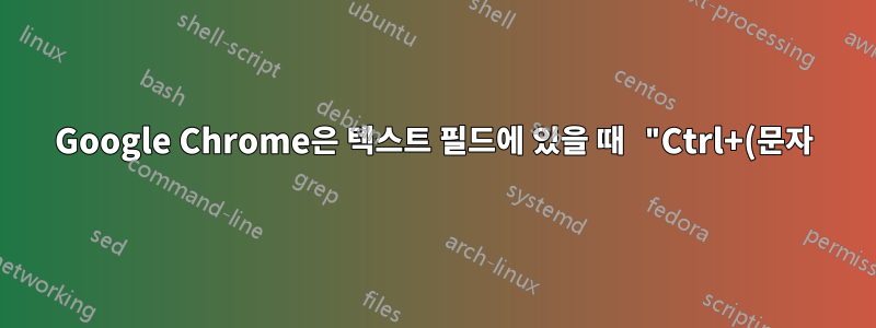 Google Chrome은 텍스트 필드에 있을 때 "Ctrl+(문자)" 및 "Alt+(화살표)" 단축키를 차단합니다.
