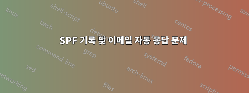 SPF 기록 및 이메일 자동 응답 문제