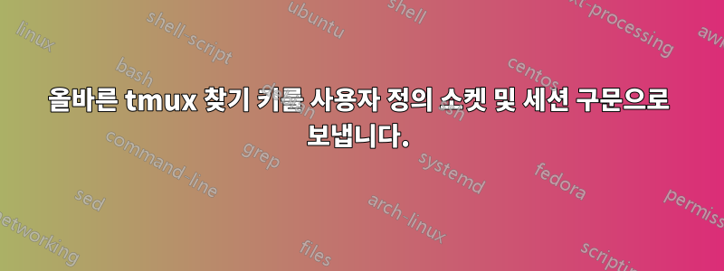 올바른 tmux 찾기 키를 사용자 정의 소켓 및 세션 구문으로 보냅니다.