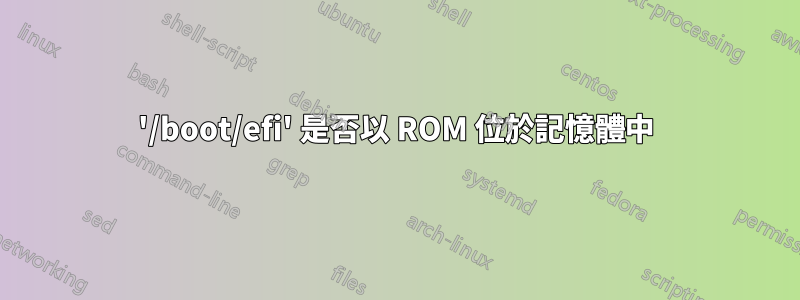 '/boot/efi' 是否以 ROM 位於記憶體中