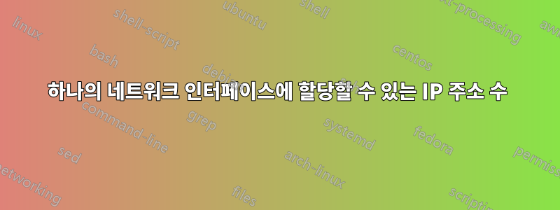 하나의 네트워크 인터페이스에 할당할 수 있는 IP 주소 수
