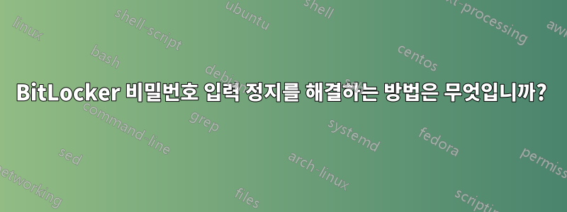 BitLocker 비밀번호 입력 정지를 해결하는 방법은 무엇입니까?