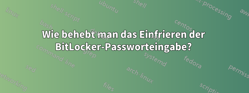 Wie behebt man das Einfrieren der BitLocker-Passworteingabe?