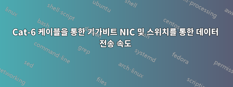 Cat-6 케이블을 통한 기가비트 NIC 및 스위치를 통한 데이터 전송 속도
