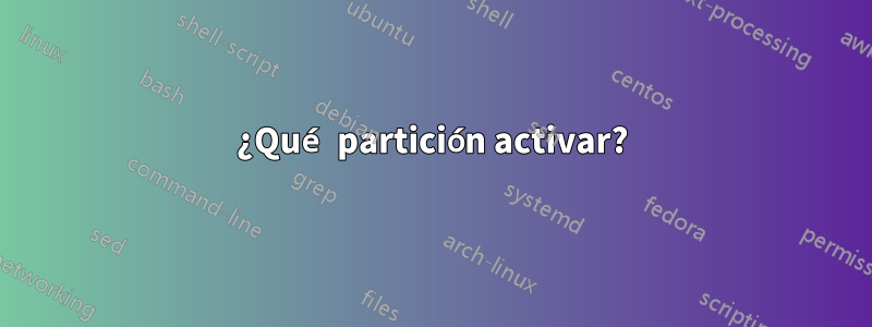 ¿Qué partición activar?