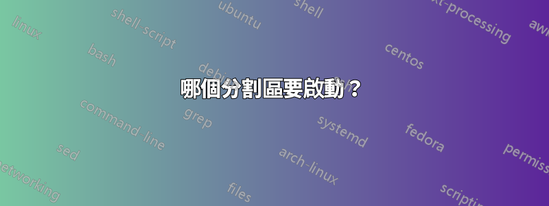 哪個分割區要啟動？