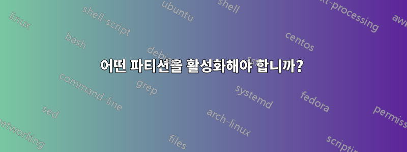 어떤 파티션을 활성화해야 합니까?