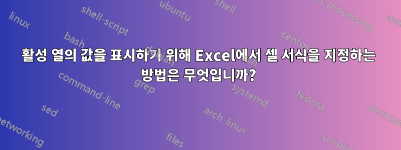 활성 열의 값을 표시하기 위해 Excel에서 셀 서식을 지정하는 방법은 무엇입니까?