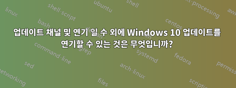 업데이트 채널 및 연기 일 수 외에 Windows 10 업데이트를 연기할 수 있는 것은 무엇입니까?