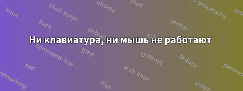 Ни клавиатура, ни мышь не работают