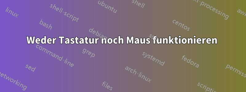 Weder Tastatur noch Maus funktionieren