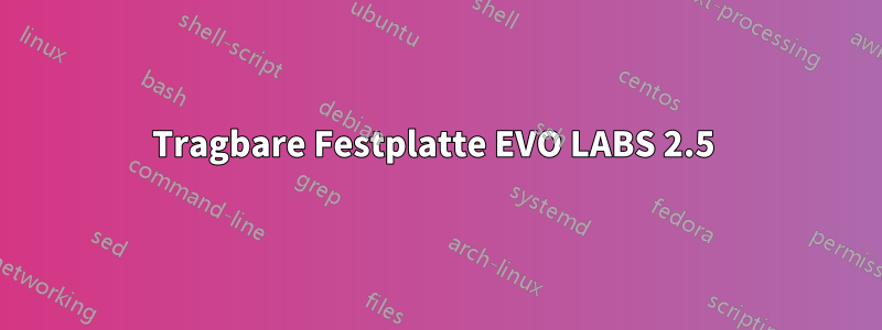 Tragbare Festplatte EVO LABS 2.5 