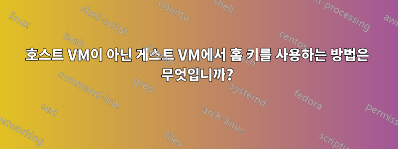 호스트 VM이 아닌 게스트 VM에서 홈 키를 사용하는 방법은 무엇입니까?