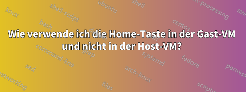 Wie verwende ich die Home-Taste in der Gast-VM und nicht in der Host-VM?