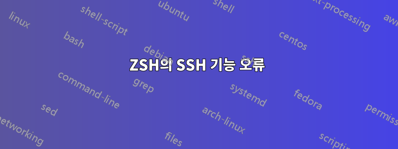 ZSH의 SSH 기능 오류