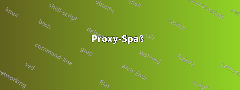 Proxy-Spaß