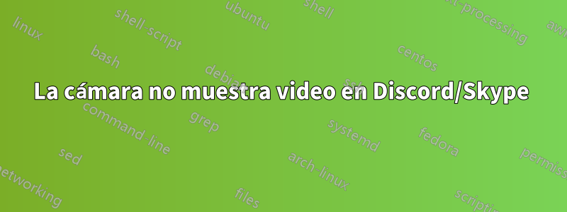 La cámara no muestra video en Discord/Skype