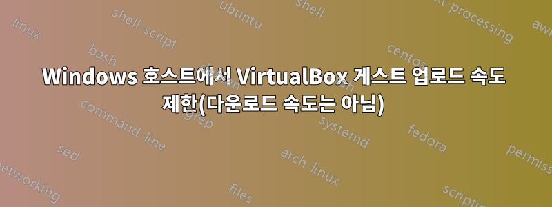 Windows 호스트에서 VirtualBox 게스트 업로드 속도 제한(다운로드 속도는 아님)